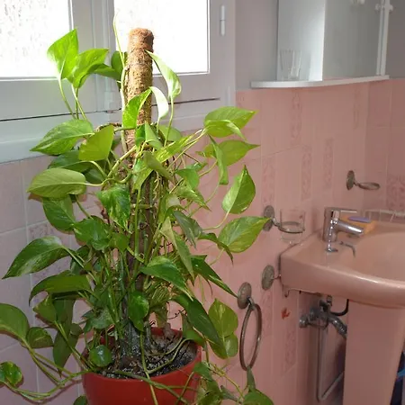 Appartement Imperia